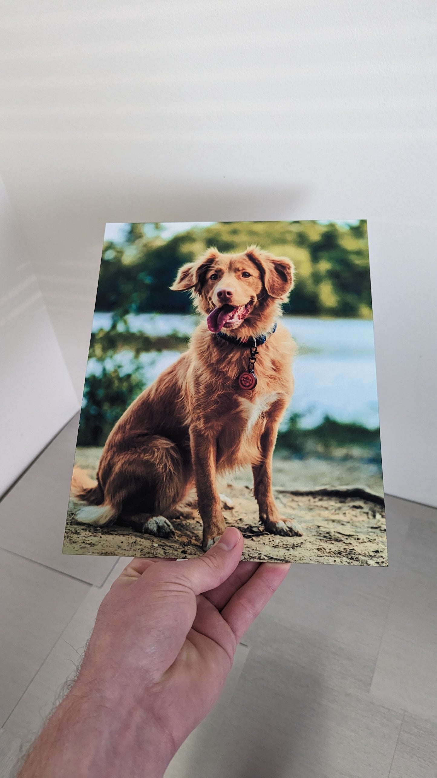 8x10 Custom Metal Print