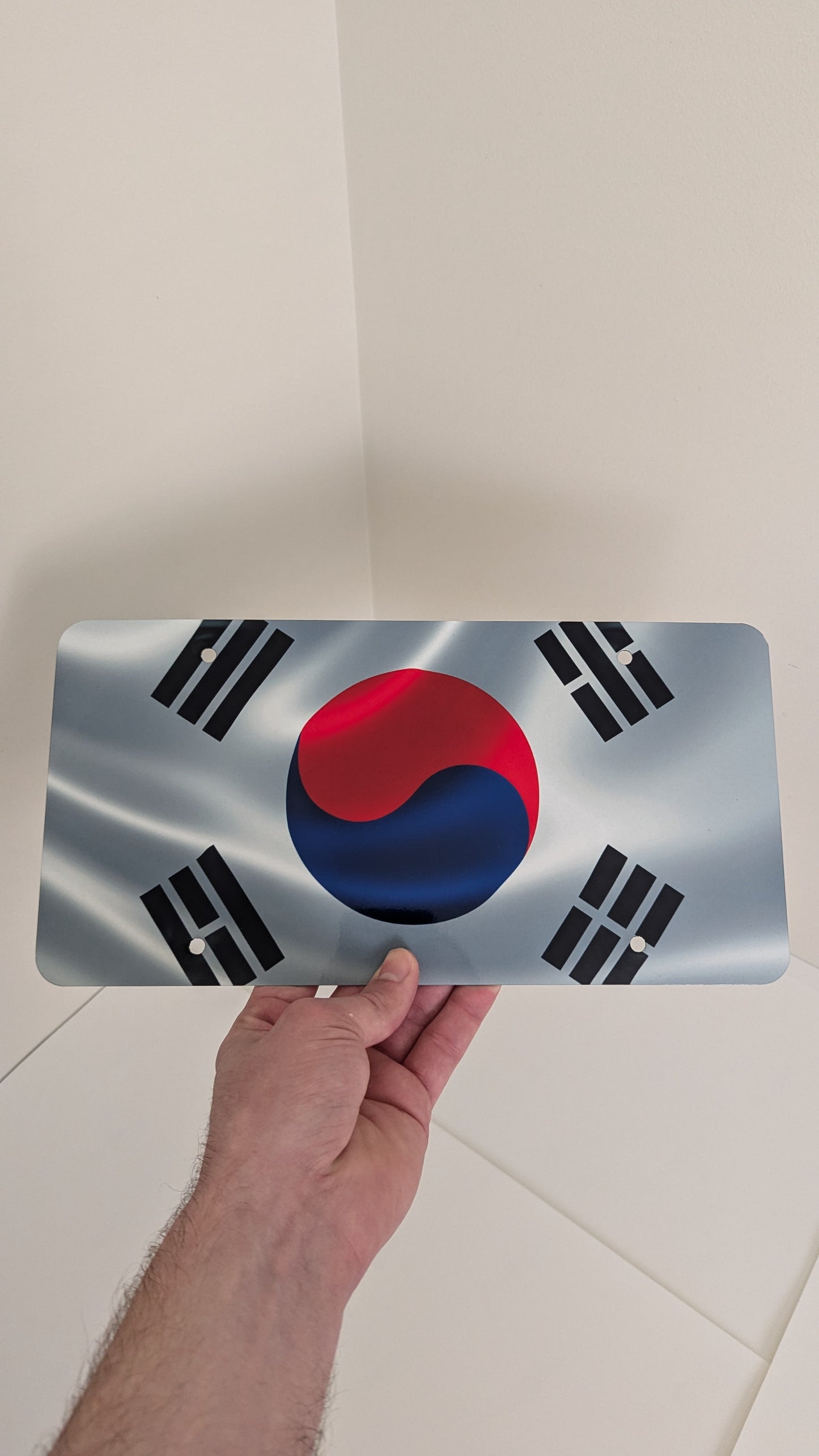 South Korean Flag License Plate