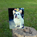 Promote your dog.